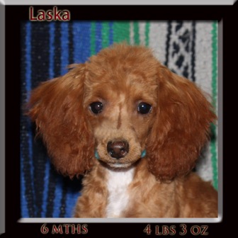 laska6mth face